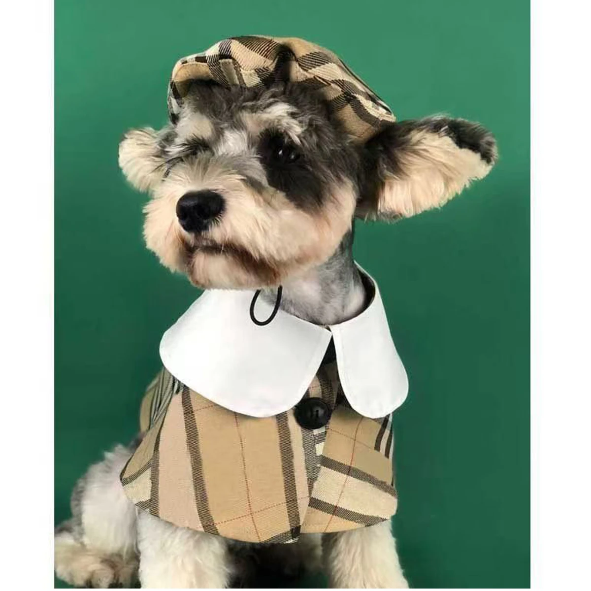 

Autumn Winter Pet Dogs Cats Jacket Thickened Schnauzer Warm Dog Clothes French Bulldog Puppy Coat Windproof Clothing Pet Cloak