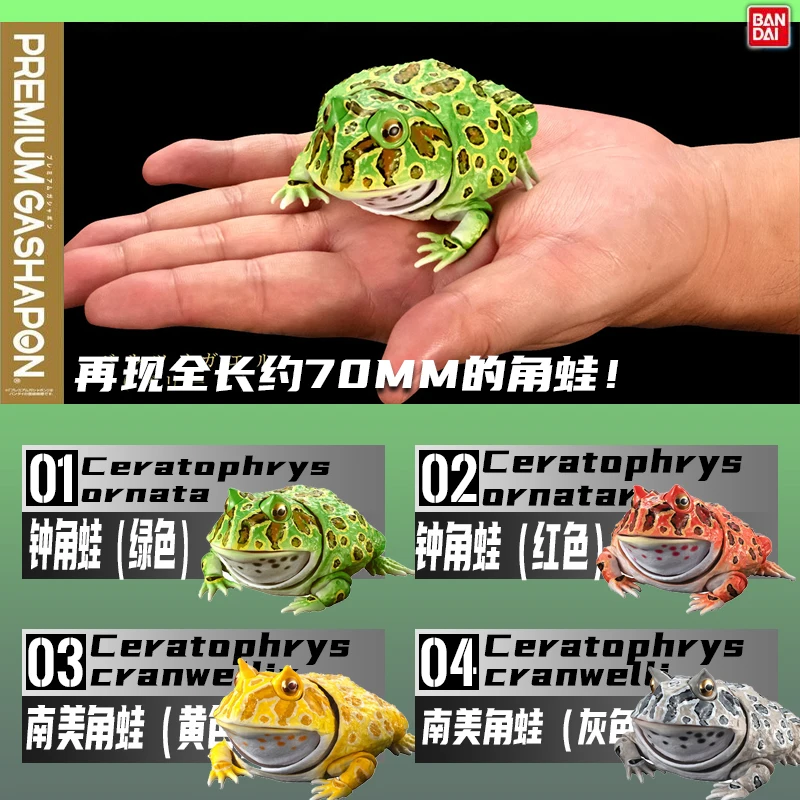 

Яйцо гасапон Bandai, большая биологическая карта лягушек, лягушки, батрахия, биология, подвижная модель, фигурки из японского аниме, игрушки