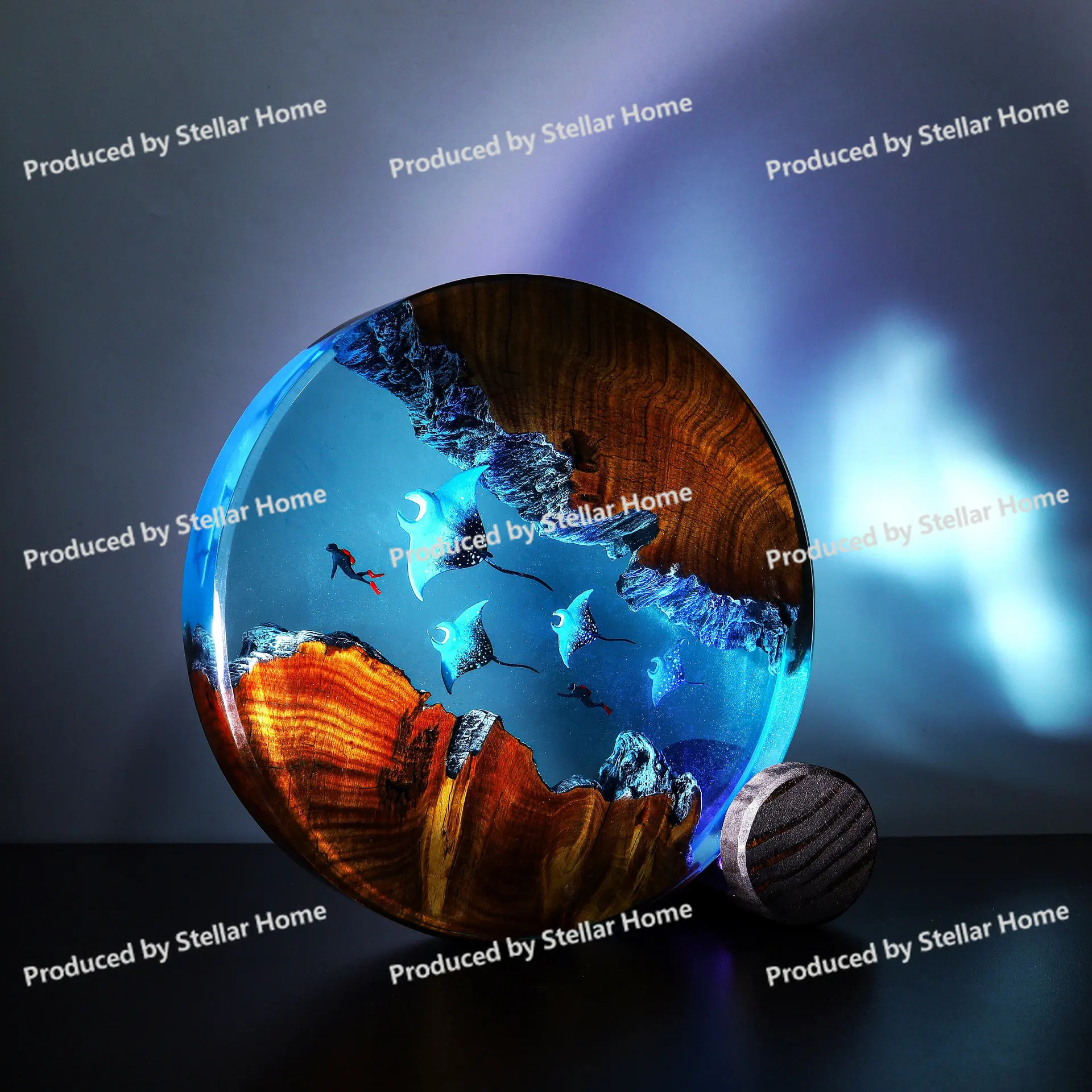 Mariana Trench Expedition Epoxy Light Stingray & Diver Resin Lamp Deep Sea Life Resin Art Gift