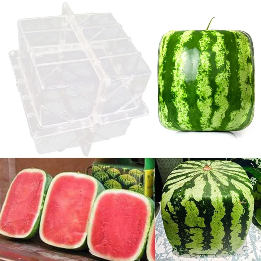 

Square Shape Watermelon Calabash Shaping Mold Fruit Growth Forming Mould Tool