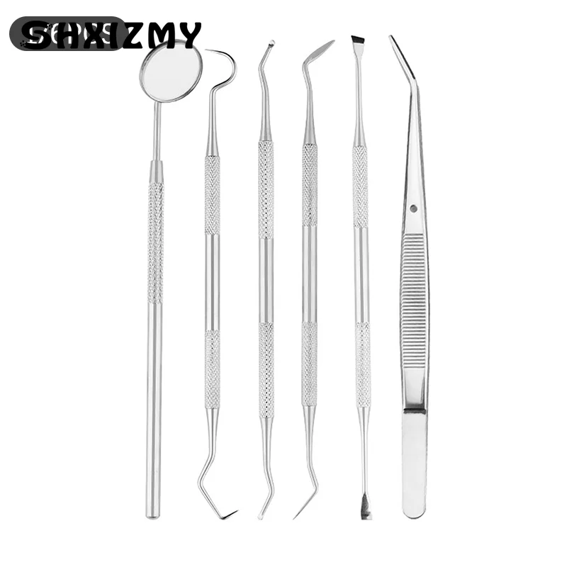 Aço inoxidável Placa Dental e Ferramenta de Remoção de Tártaro, Kit Espelho Dental, Boca Bolso, Tooth Care Appliance, 1 Pc, 6Pcs