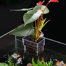Aquarium Water Plant Holder, Hanging Aquarium Planter Cups, Wall Mounted Plant Basket, Aquatic Plant Plastic Pot