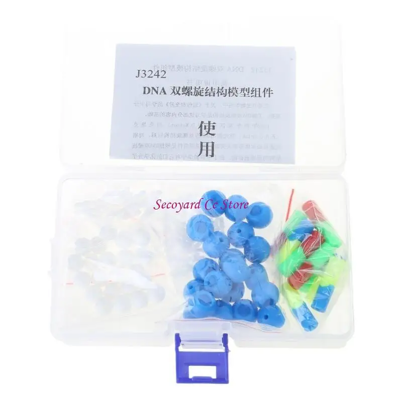 N3UC Hands on Assembly DNA Structure Model Double DNA Models For Classroom Teaching Demonstration And Laboratory