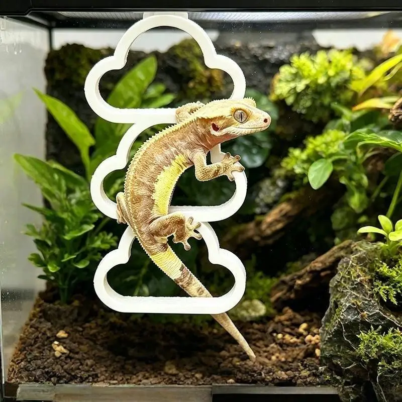 Hanging Reptile Climbing Ring Cloud Shape Plastic Snake Climbing Toy Multi Level Exercise Hoop Chain Habitat