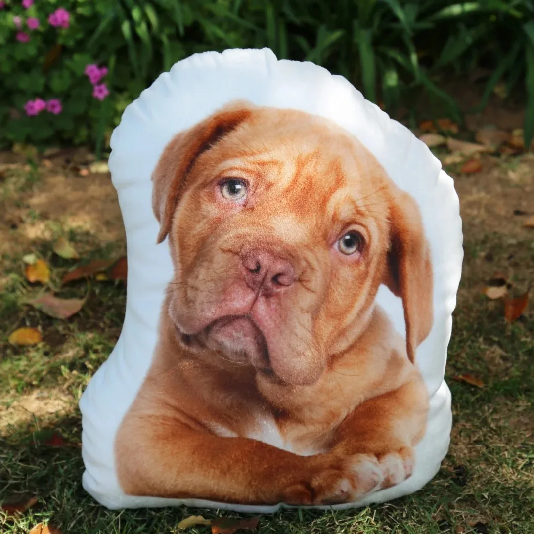 Customized Pet Photos Plush Pillows Personalized Cat, Dog, Rabbit and Other Animal Shapes Birthday Valentine's Day