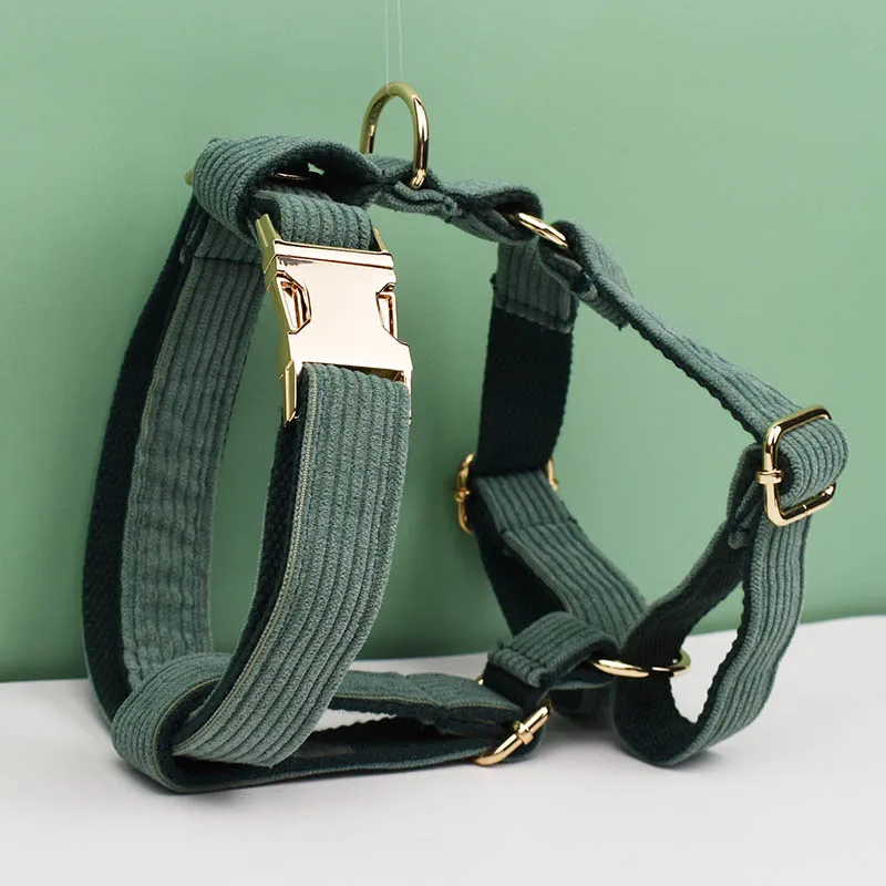 Ensemble collier et laisse en velours côtelé vert foncé pour chiens, plaque signalétique gravée personnalisée, fournitures pour animaux de