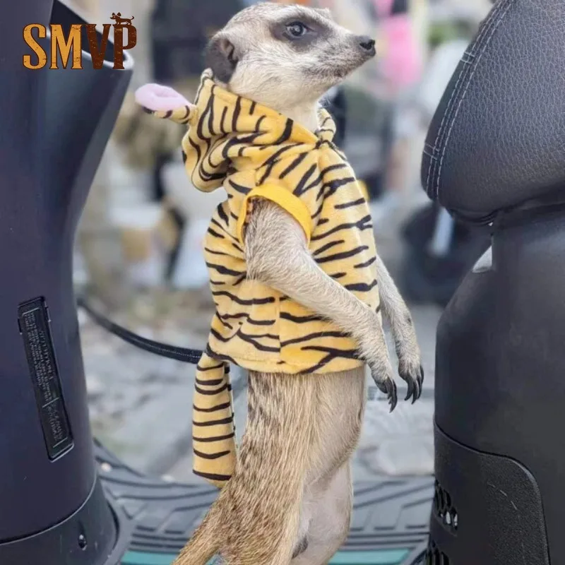tiger-print-small-pet-hooded-costume-warm-fleece-outfit-with-tail-for-meerkat-prairie-dog-guinea-pig-squirrel-autumn-winter