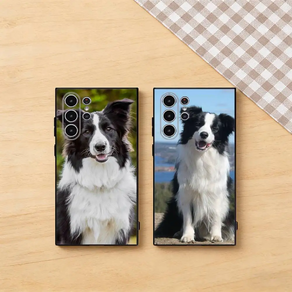 

Border Collie Phone Case for Samsung Galaxy S22 S23 S24 S25 FE Ultra 5G Silicone Classic Shockproof Case