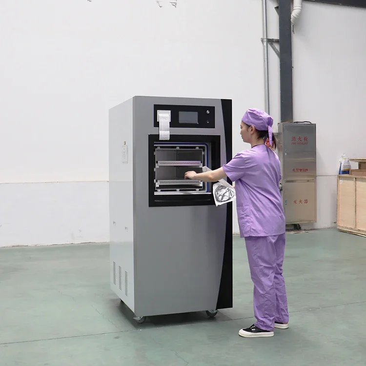 저온 H2O2 플라즈마 살균 장비 공장 직접 공급 고효율 의료 장비