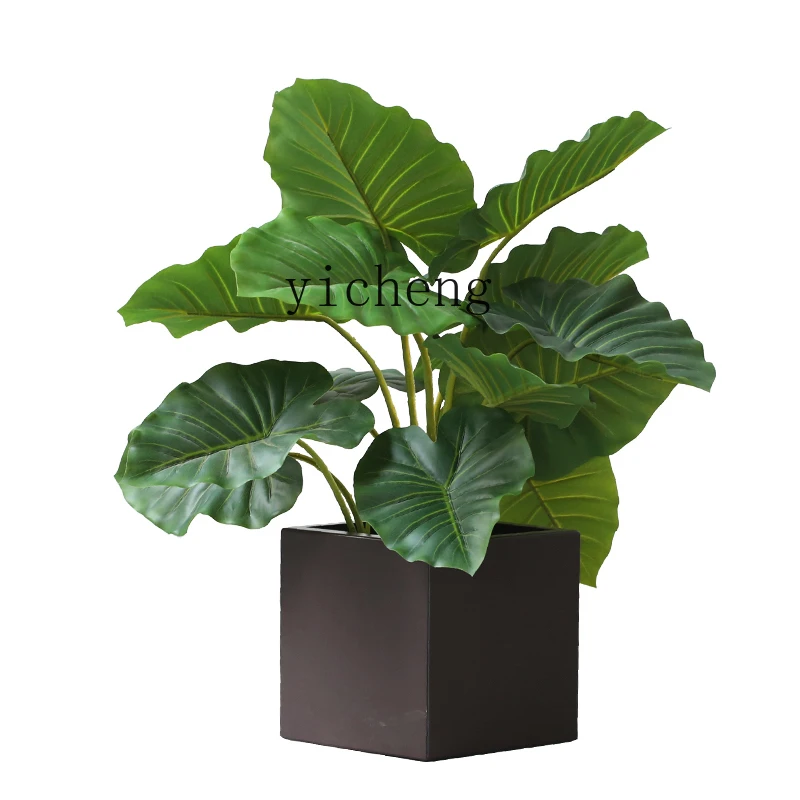 

ZC Simulation Greenery Bonsai Alocasia Macrorrhiza Artificial Plant Pot Store Soft Decoration Ornaments