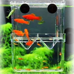 Multifunktionale Isolationsbox für die Schaffung von Fischen, Aquarium mit hohem Transparenz, Aquarienschöpfung, Doppelguppies -Fischtank, Inkubator Inkubator 6 Hauptverkaufsaquariumfische - №4