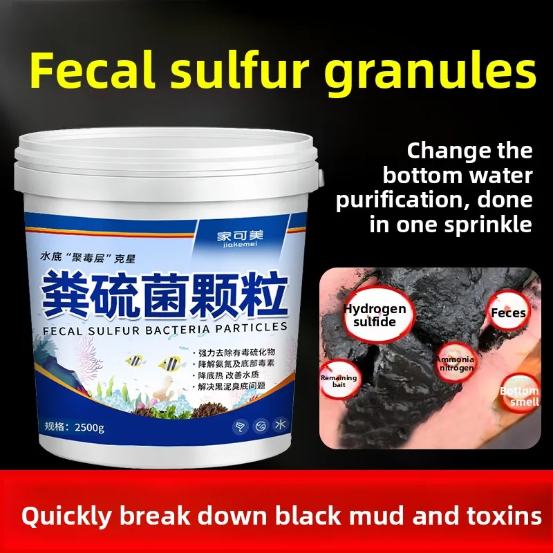 

Гранулированные питательные гранулы для аквакультуры: бактерии для очистки воды, окислитель сульфидов, дезодорант для аквариумов