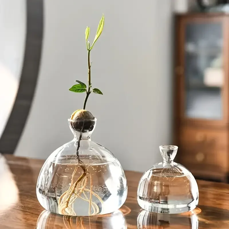 Avocado Vase Grow Glass Bulb Vases Acorn Seed Starter Vase Avocados Pit Planter Pot for Gardening Lover Indoor Hydroponics