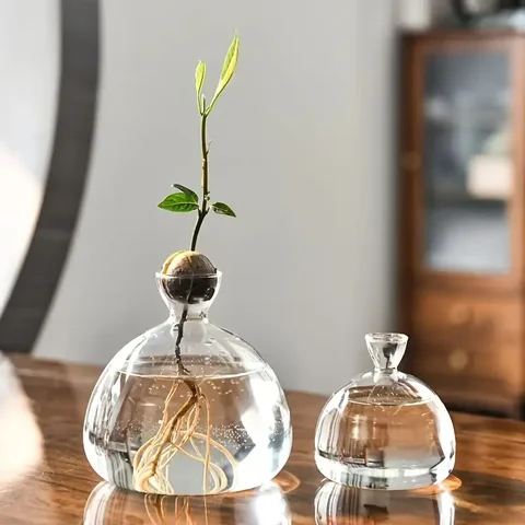 Glass Bulb Avocado and Acorn Vase