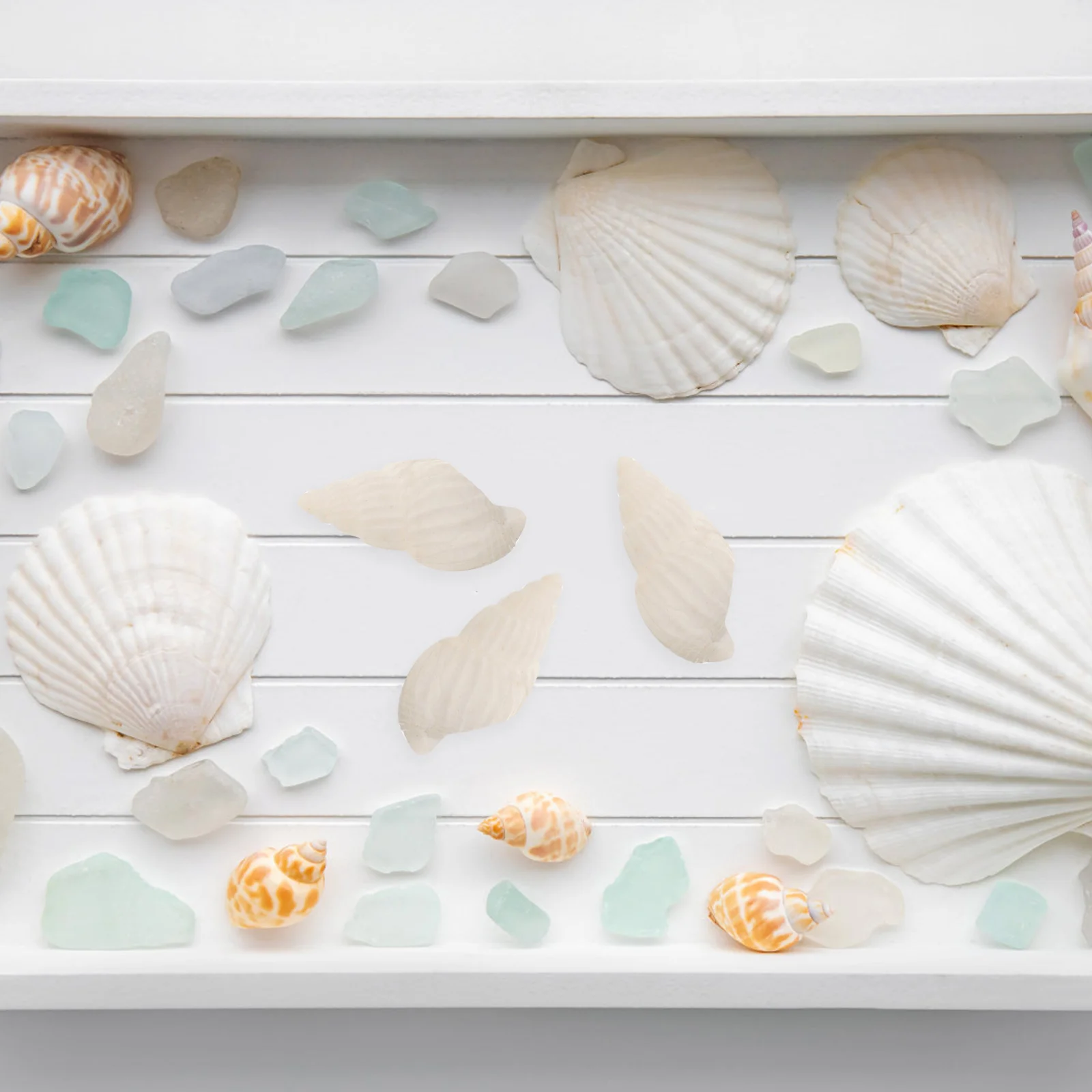 Ocean Decorations Decoraciones Para Salas Casa Vase Mini Conch Shell Conches White