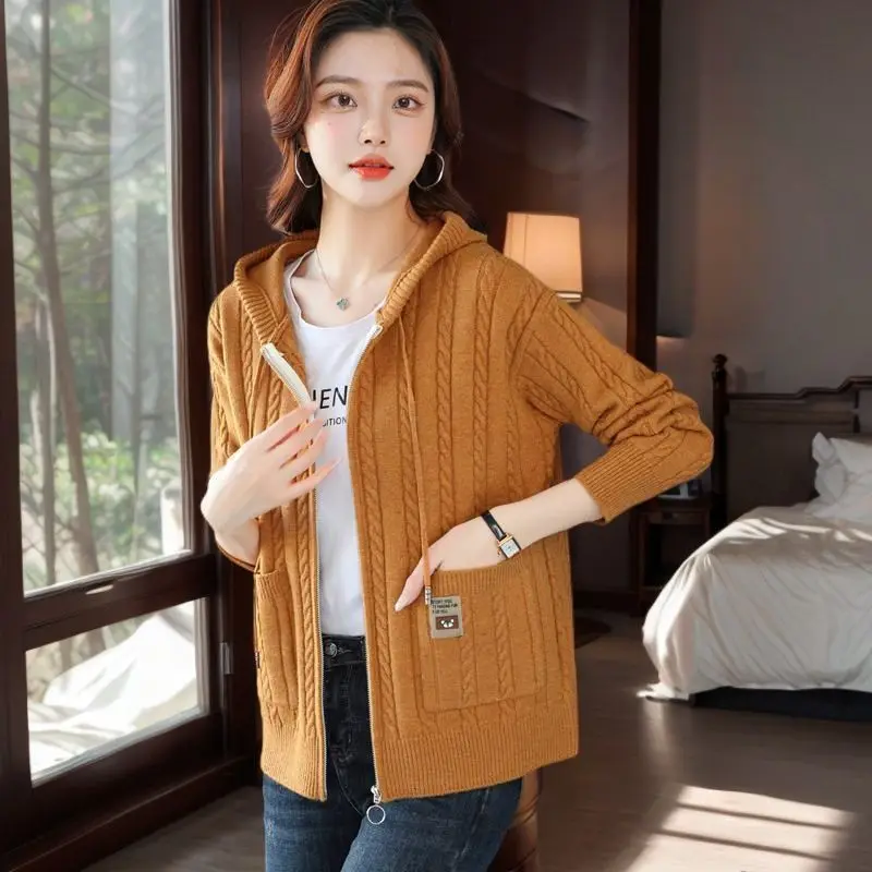 Spring and Autumn Sweaters Hooded Knitwear Fashionable New Style Slimming and Loose Zipper Knitted Cardigan Jacket