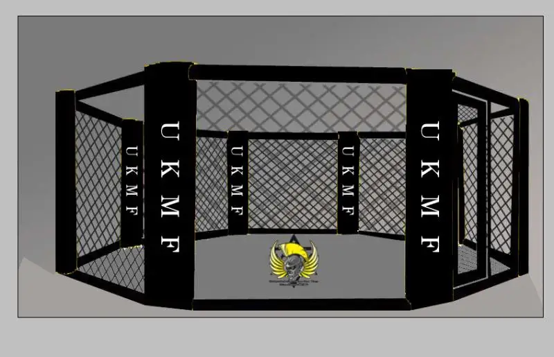 Cheap Best Selling Boxing Ring MMA CAGE OCTAGON FIGHT RING BOXING RING Export