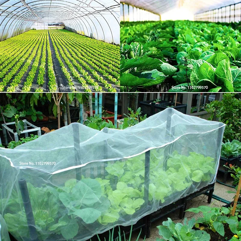 Red de protección contra insectos para plantas, verduras, jardín, cuidado de frutas, flores, invernadero, Control de plagas, antiaves, 60 Meshs