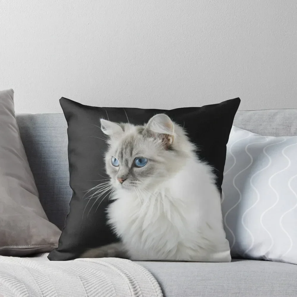 

pettle the ragdoll cat Throw Pillow Decorative pillow case Pillow Case Christmas New year