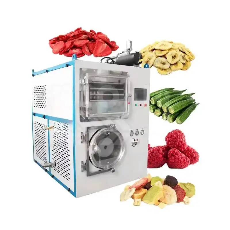 Freeze Drying Machine Cordyceps, Fruits And Vegetables, Commercial Intelligent In-situ Vacuum Freeze Drying Machine