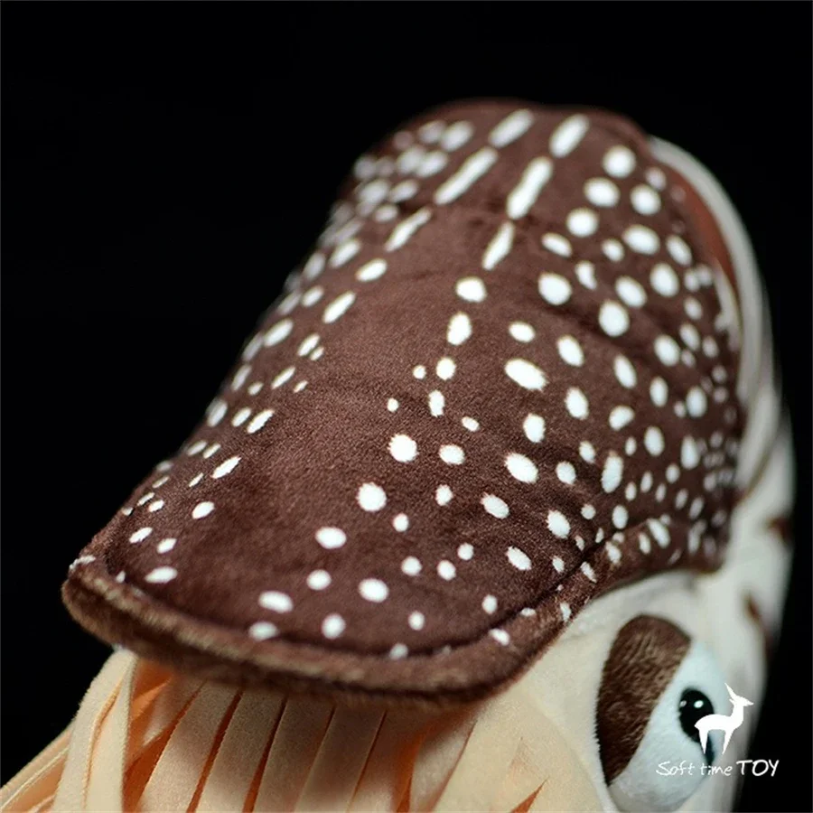 Nautilus High Fidelity Anime Cute Snail Plushie Conch Plush Toys Lifelike Animals Simulation Stuffed Doll Kawai Toy Gifts Kids