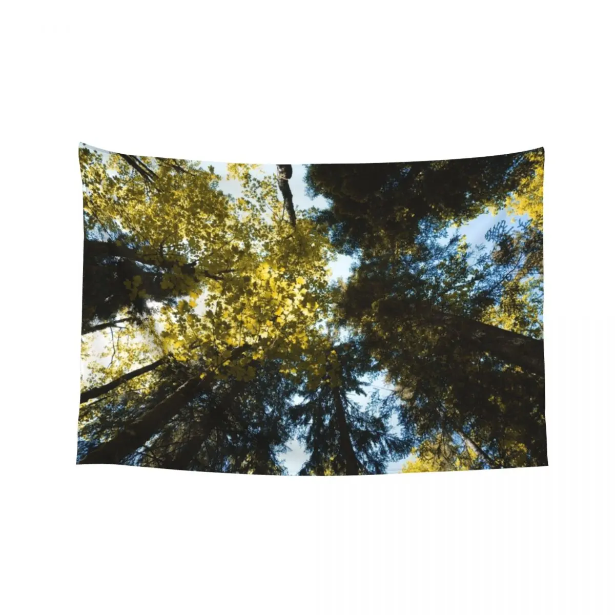

Canopy of Tall Trees Tapestry For Bedroom Decoration For Home House Decoration Tapestry