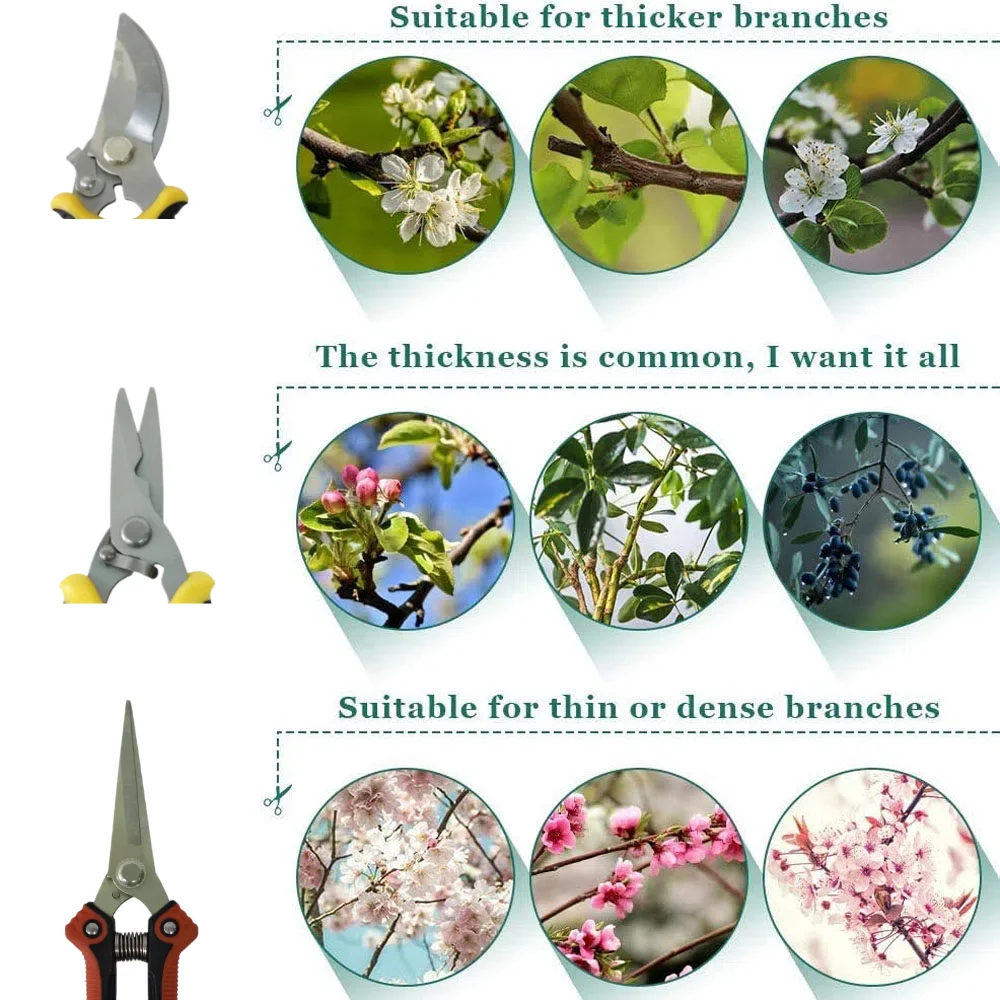 1個入り多機能園芸用ハサミ3点セット、家庭用剪定鋏、花用鋏、 - Gardening Tools Pink のレビューと価格