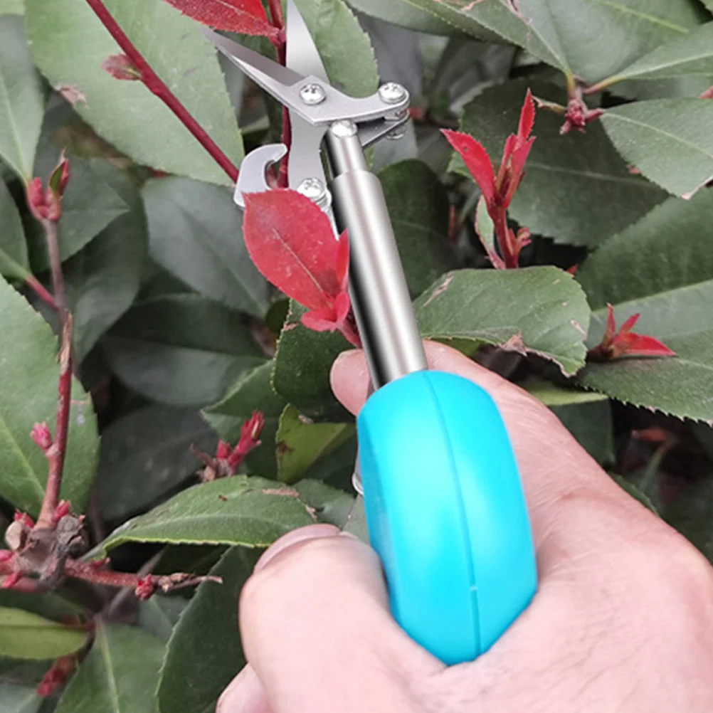 

Ergonomic Pruning Shears Fruit Scissors Garden Trimmer Durable High Hardness Steel Blades Blue Metal Garden Shears for Home