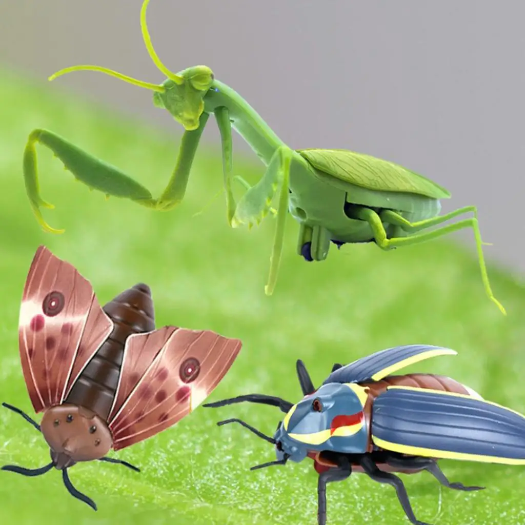 Jouet éducatif animal modèle d'insecte scientifique et nature pour enfants