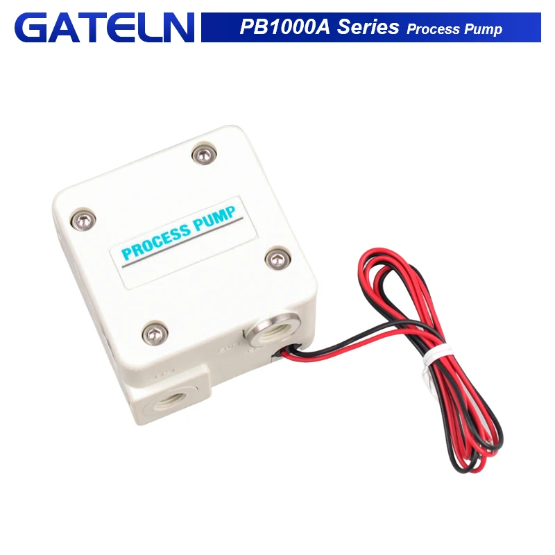 

PB1000 Series Pneumatic Diaphragm Pumps PB1011A-01 PB1013A-01 Air-Controlled Pneumatic Process Pump