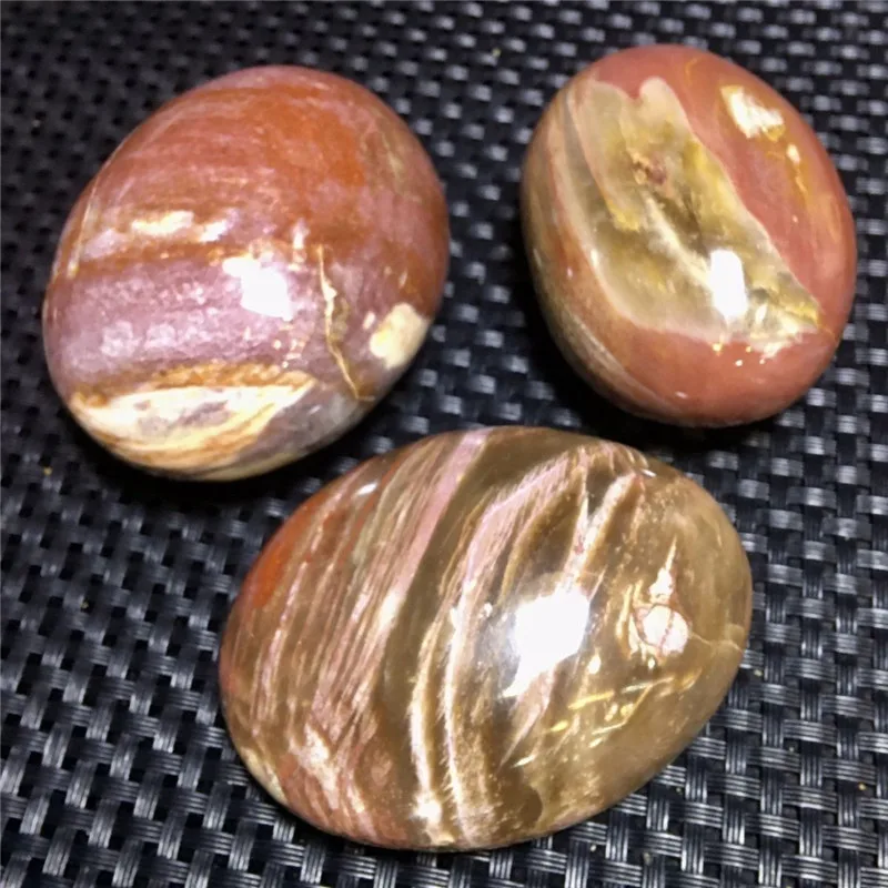 1000g Nature Petrified Wood Palm Crystal Polished Stone For Home Office Garden Tank Decoration Gift Halloween Healing