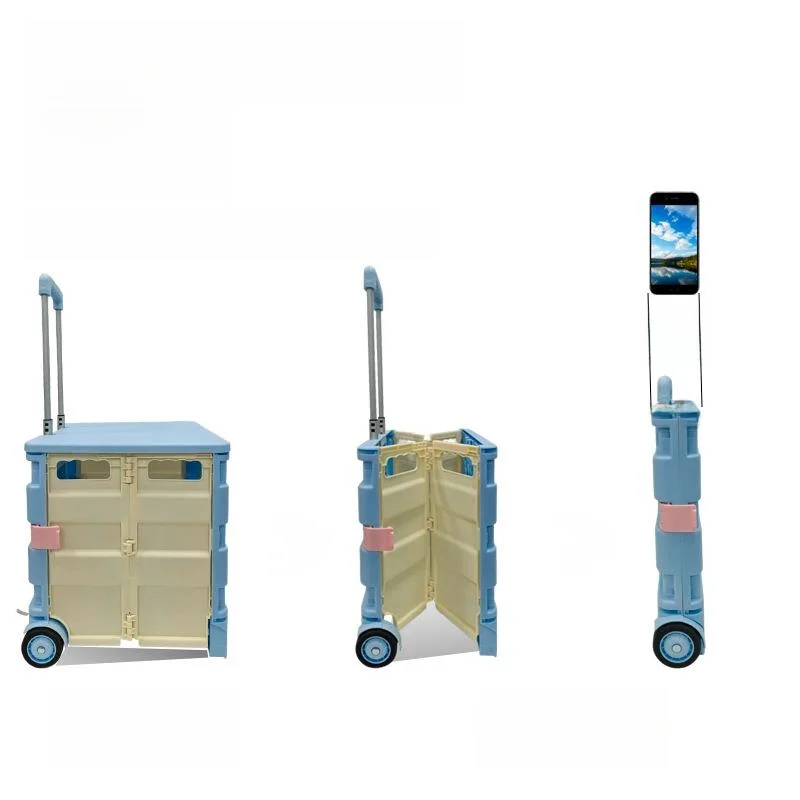 chariot-de-courses-portable-en-plastique-pour-le-camping-avec-poignee-telescopique-design-pliable-chariots-a-double-roue-pour-l'achat-et-le-rangement-de-legumes-organisation…