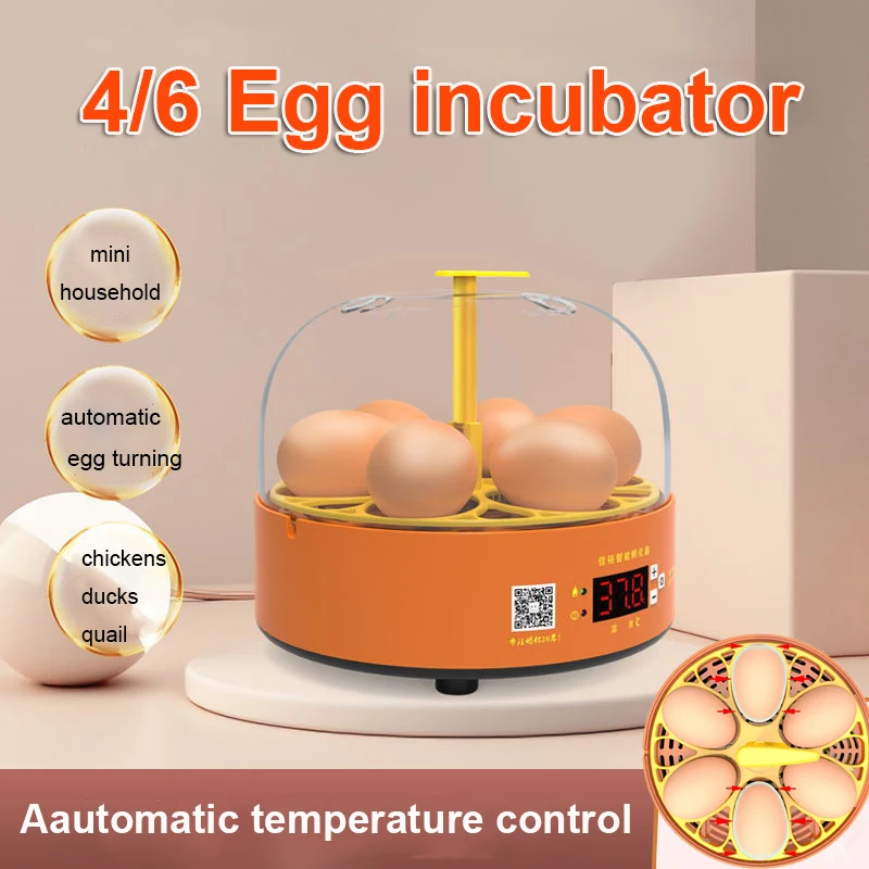 

4 Egg 6 Egg Automatic Incubator Hatcher Brooder with Turn Mini Household Egg Incubator Machine Quail Chicken Duck Home Brooder