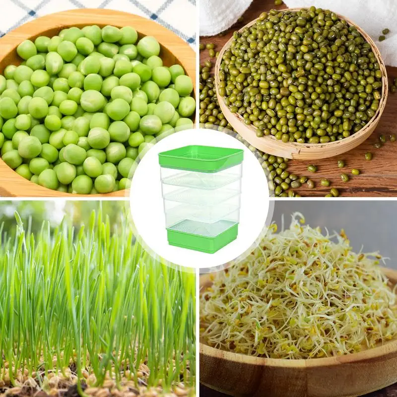 Tray Sprouter Sprouting Kit Bean Growth Germination Trays Wheatgrass Microgreens Growing Sprout Grower Container Sprouting Kit