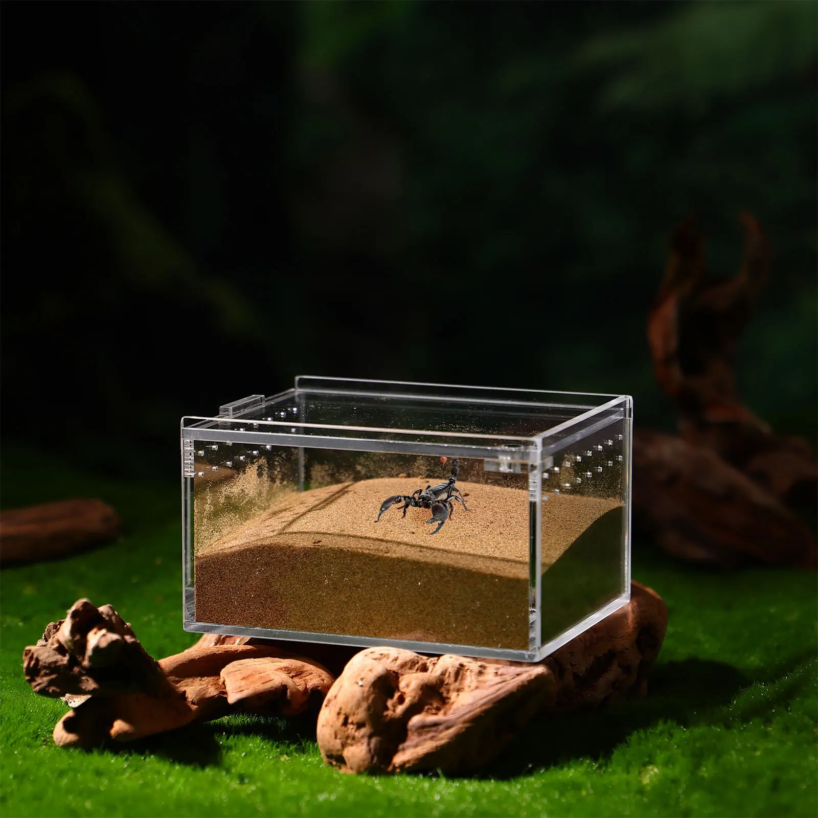 

7pcs 7 Pieces Turtle Aquarium Acrylic Terrarium Lizard Kennel Case Reptile Cage Spider Box Snail Accessories