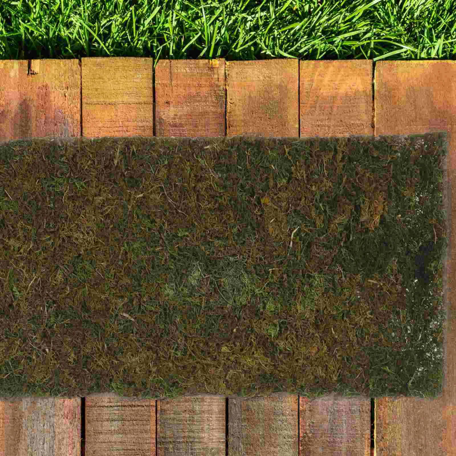 Area Rugs Artificial Green Moss Decoration Grass Window Turf for Landscaping Olive Micro Landscape Fake Mat Scene