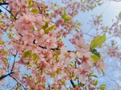 HS 1/14 14321 14322 14331 14332 14421 14422 14431 14432, C8802, YDRJ-D879 RC Afstandsbediening Auto-onderdelen Voor- en achterzoomarmen