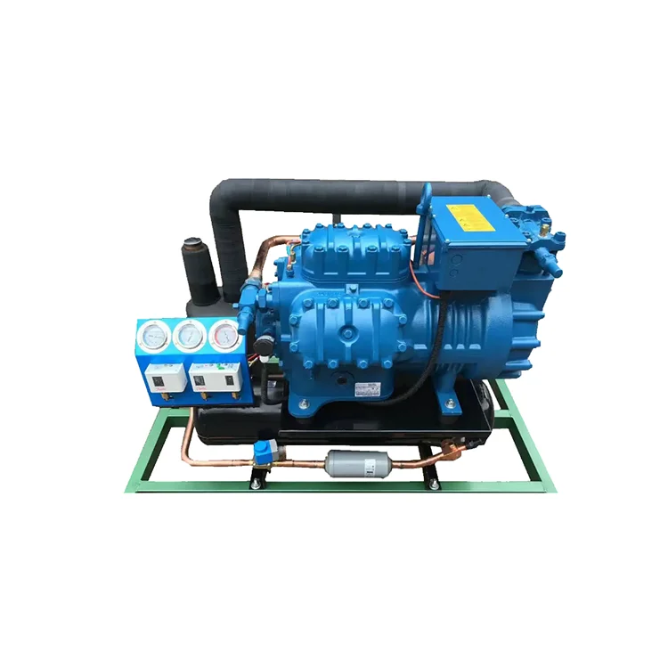 Industrial Refrigeration Unit R600 Piston Type Compressor Air-cooled Condensing Unit of Frascold for Freezing Room Long Time Use