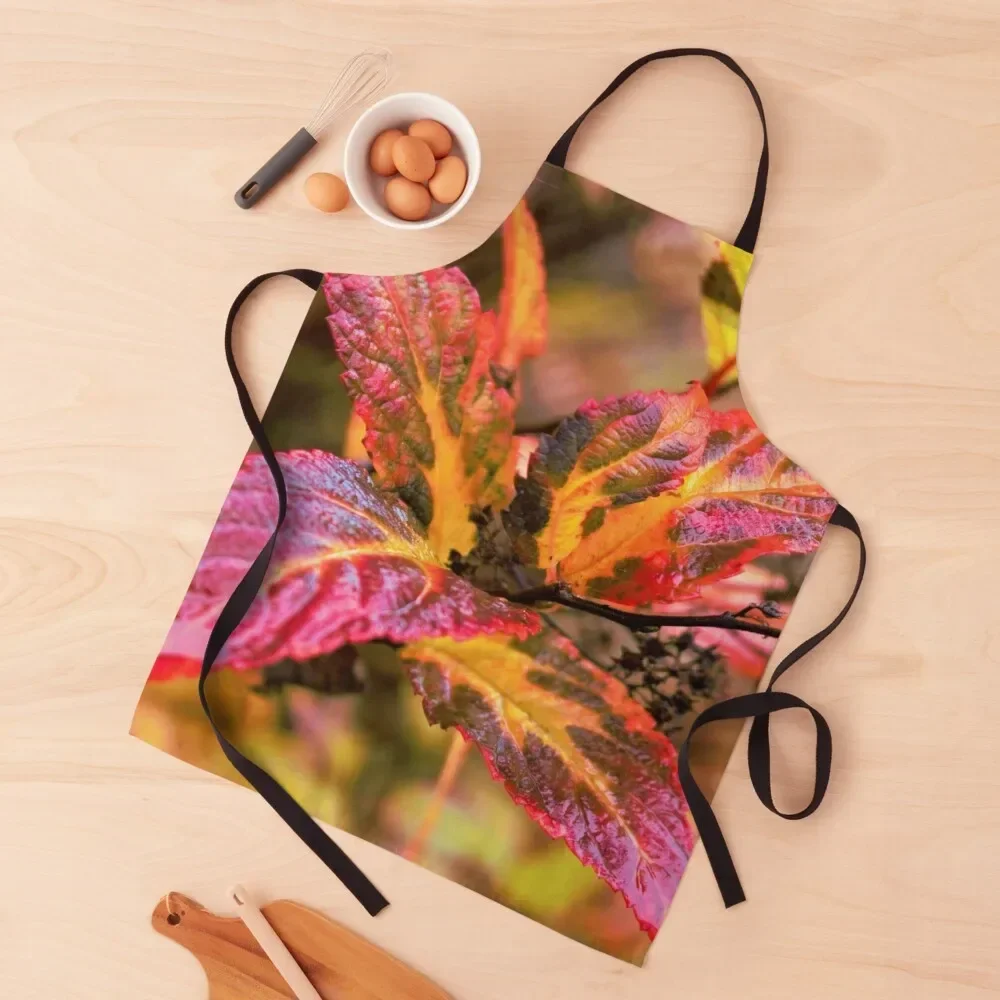 

Autumn leaves twig yellow-orange-burgundy Apron Kitchen Tools cleanings Hairdresser New year's Apron