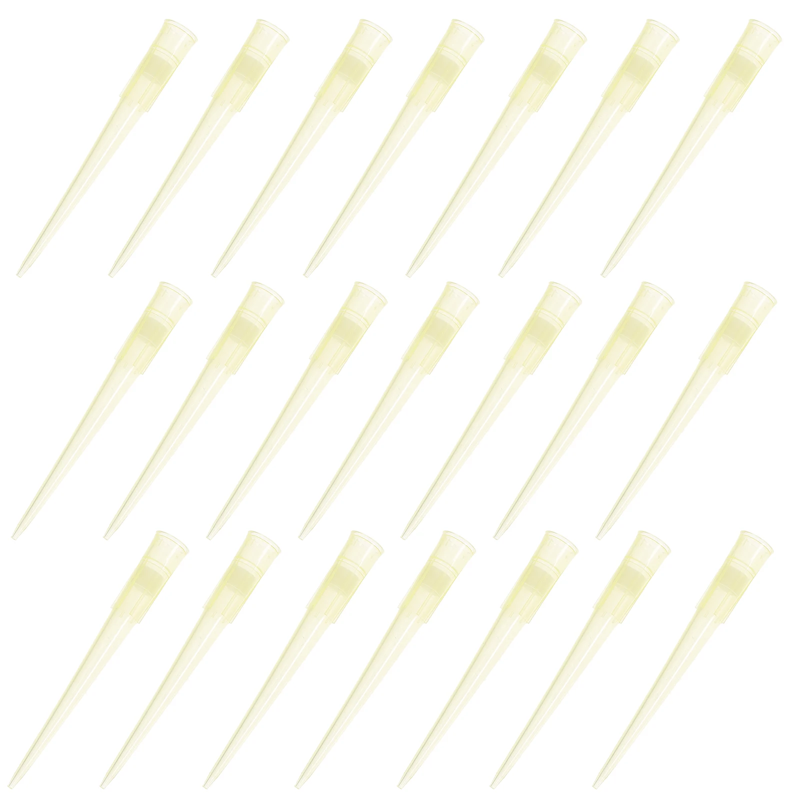 

1000 Pcs Pipette Tips Disposable St Plastic Laboratory Supplies Transfer Small Liquid Quantities Experimental Tools