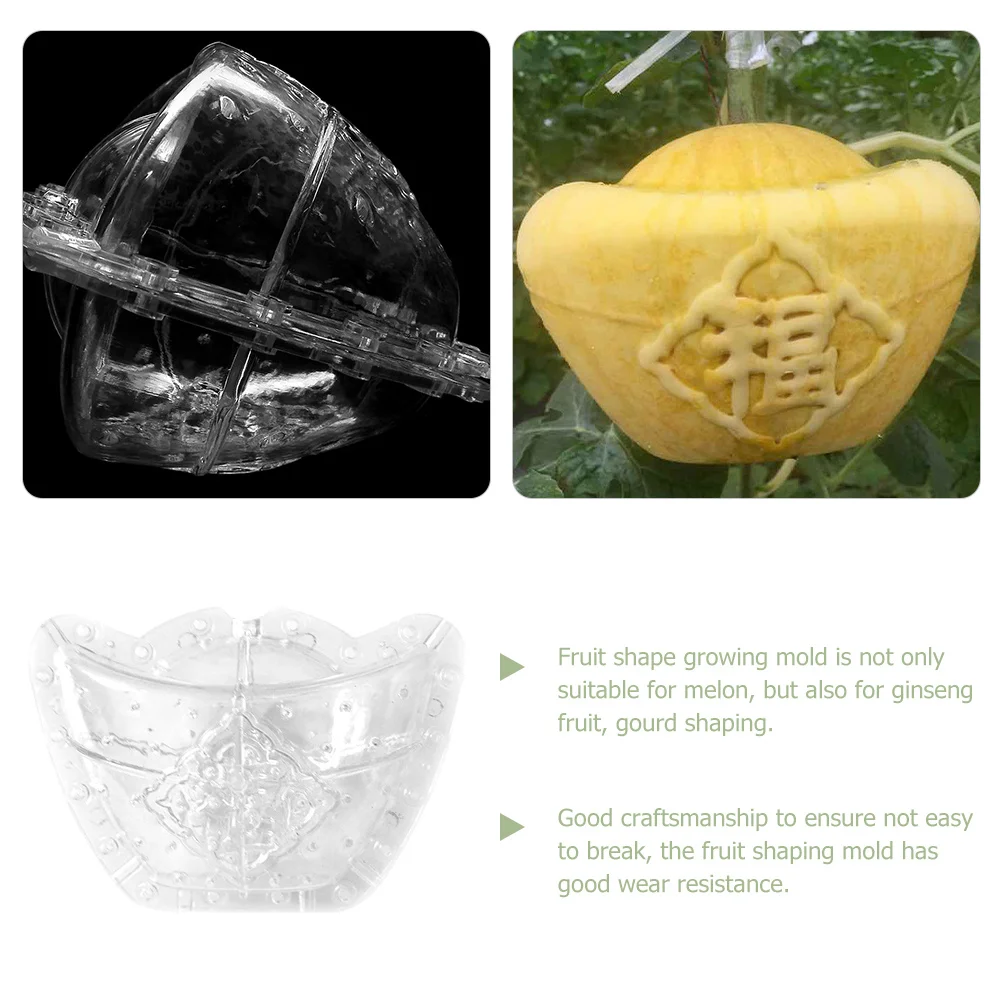 قالب تشكيل فاكهة البطيخ الجينسنغ نباتي شفاف يمكنك صنعه بنفسك قابل لإعادة الاستخدام متعدد الوظائف ملحقات البستنة الإبداعية