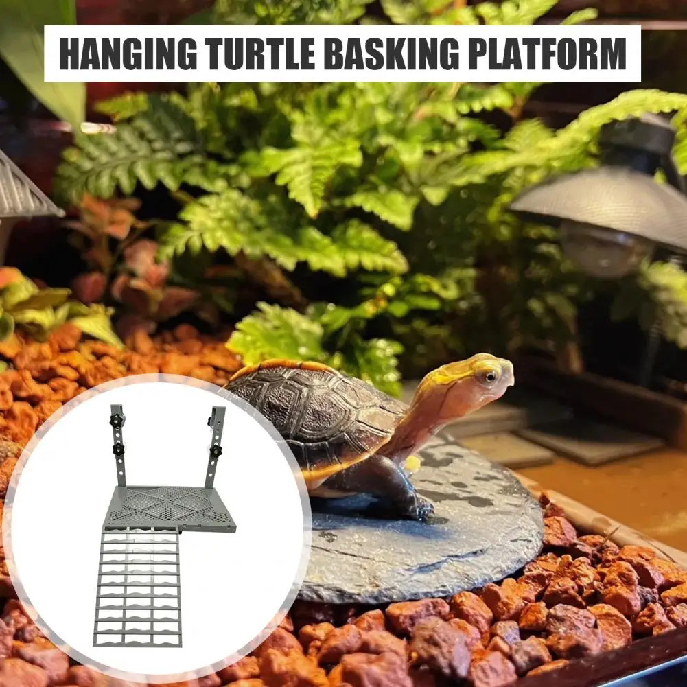 Thumbnail 4 - #29 Latest Aquarium Decor Offers