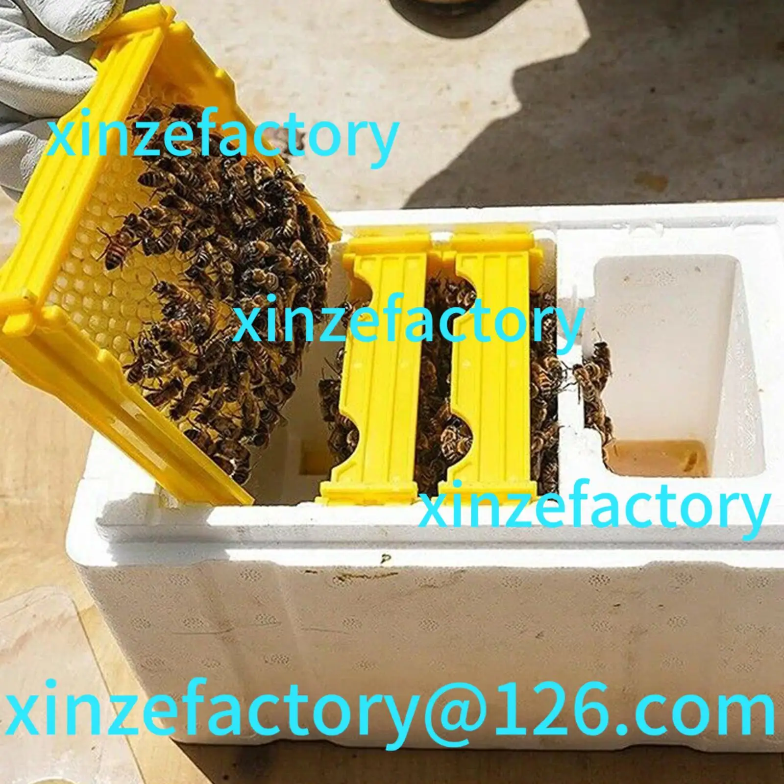

Customizable Queen bee rearing mating box