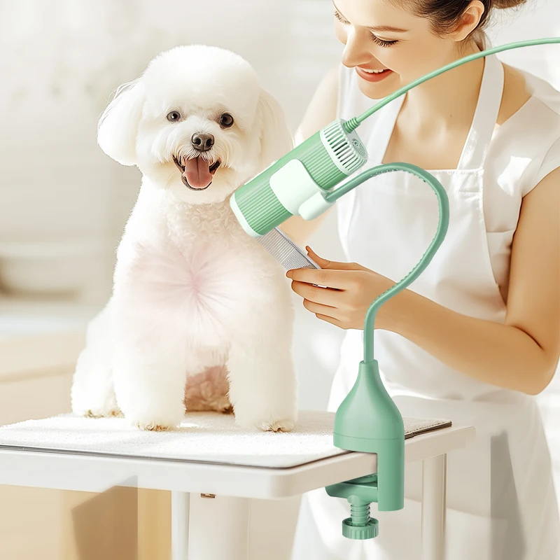 

Custom High Power Adjustable Pet Hair Dryer Hair Blowing Artifact Water Blower for Dogs and Cats