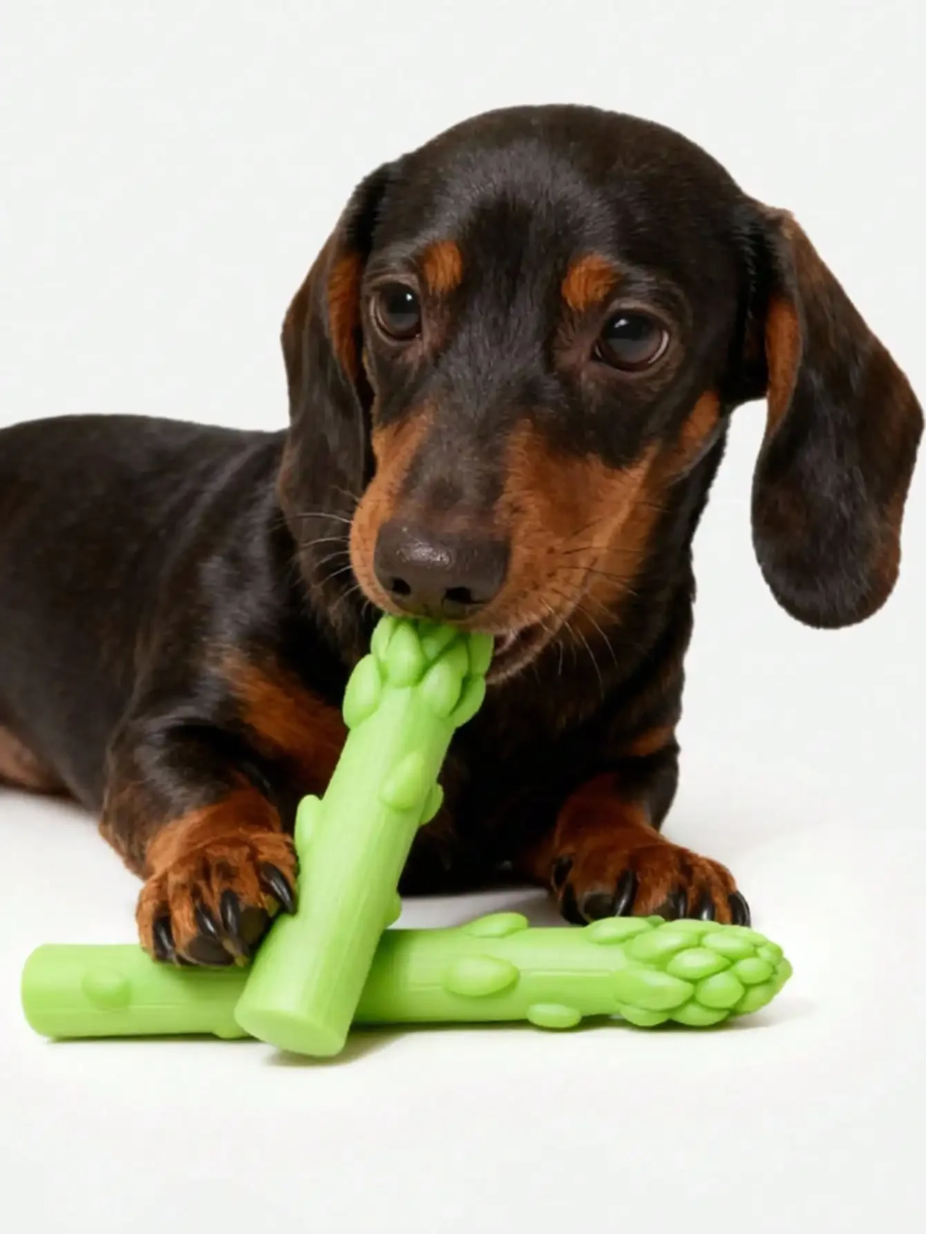 1 unidad de juguete masticable nuevo 2026, diseño lindo de espárragos verdes simulados, látex natural duradero, sonido chirriante, cuidado dental, adecuado para mascotas pequeñas