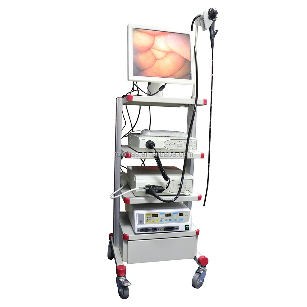 LHP6100 Medical HD Endoscope System with Video Endoscopy Colonoscope Instruments Gastroscope