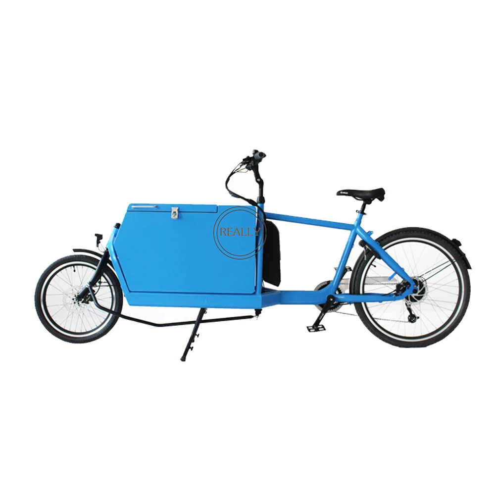 

Closed Body Type Electric Tricycle Cargo Two Wheels Cargo Bike Electric Tricycles For Carry Children and Carry Goods