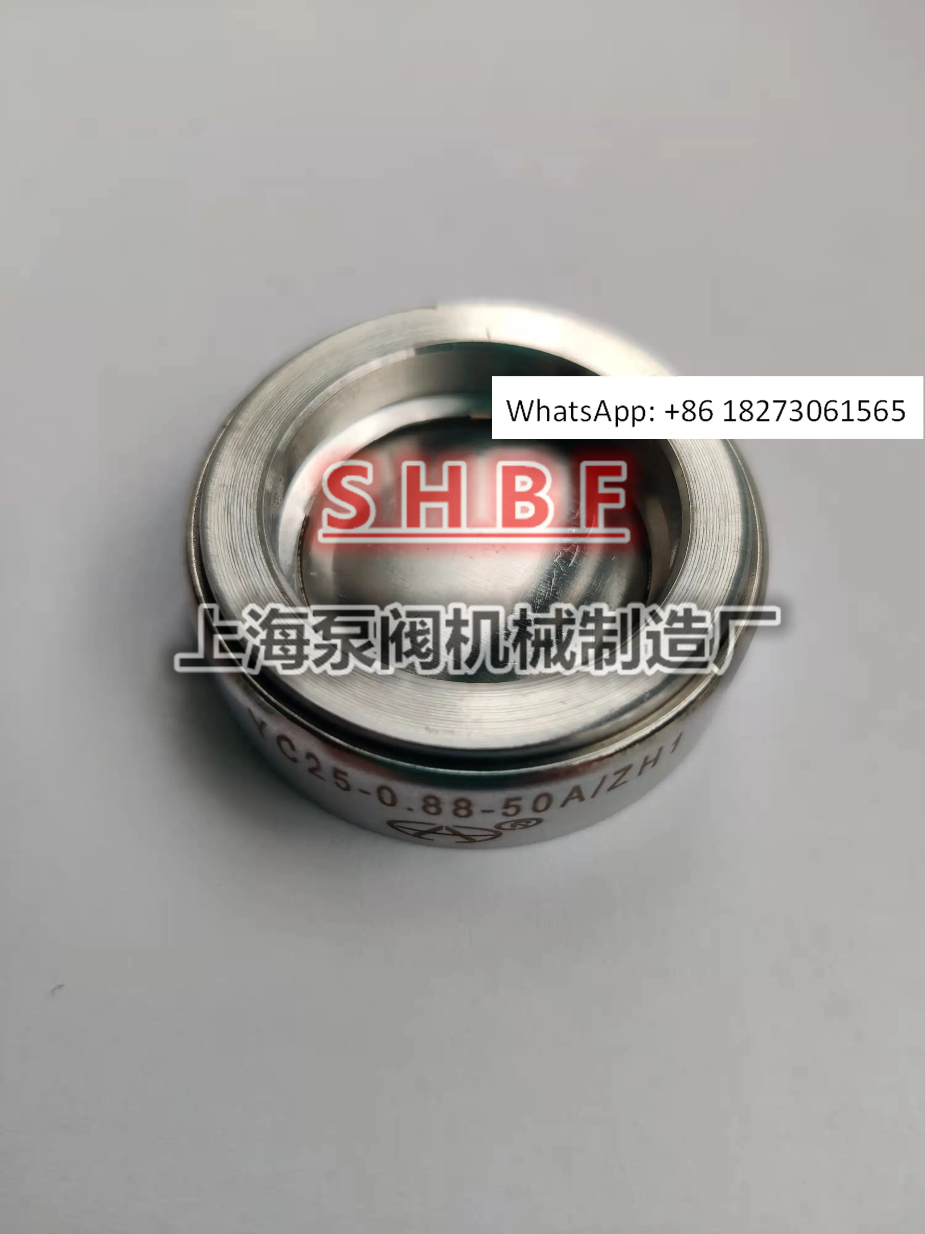 Shanghai Huali Burs…