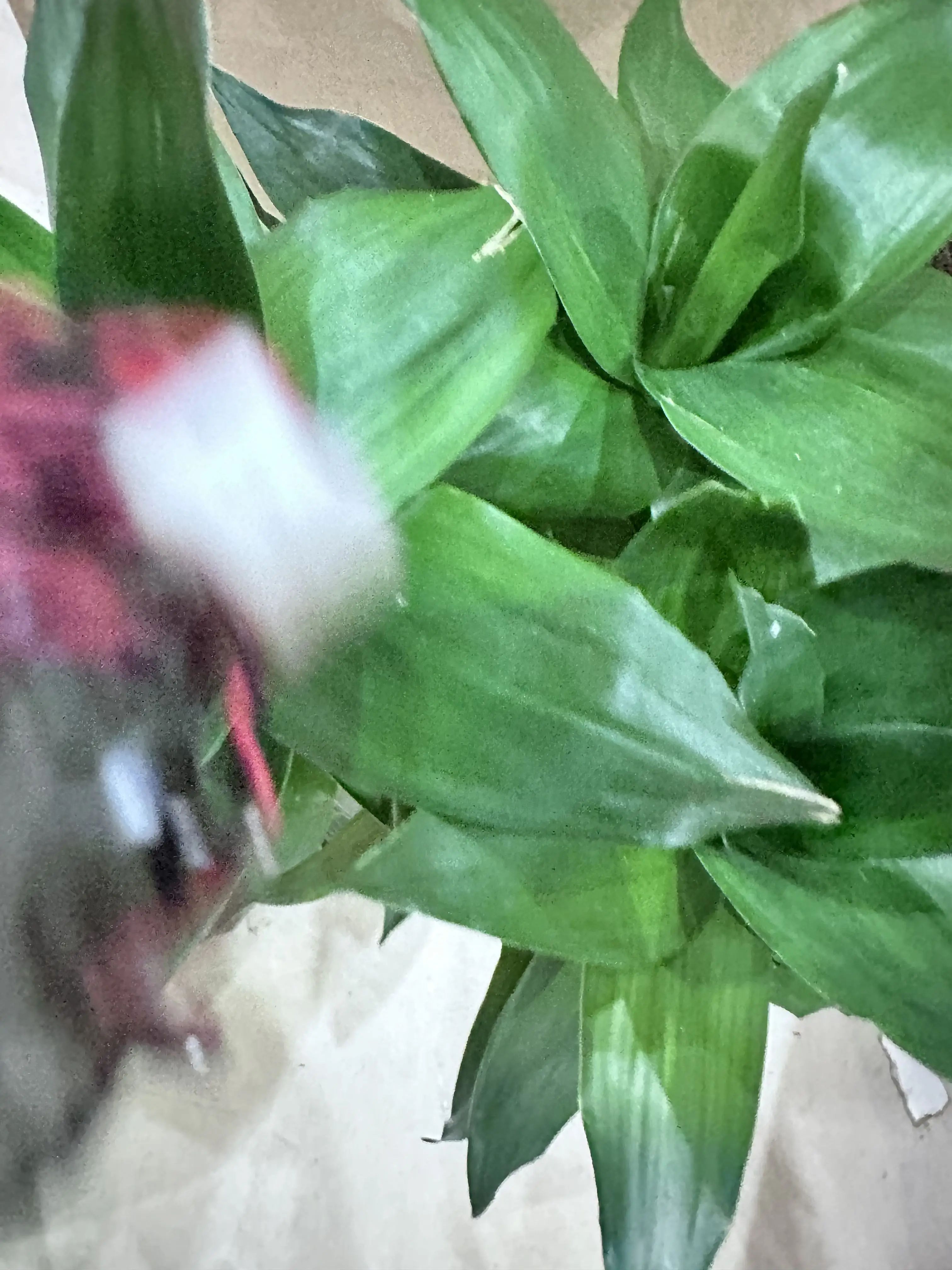 

Original Brand New CR Motor For Epson L18050 L18058 L8050 L8051 L8188 L8180 L8160 printer 2207984 Carriage Motor