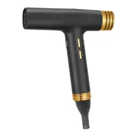 Professional 110000 Rpm High Speed Fast Drying Salon Lightweight Powerful Wind Negative Ionic Hair Dryer Hair Care